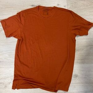 Patagonia capalene cool merino shirt NWOT